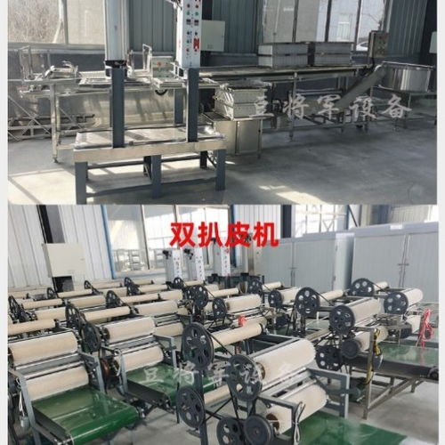 豆將軍100斤豆腐皮機 不銹鋼豆腐皮加工設備的技術開發與廠家實力解析